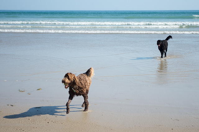 afternoon at the beach