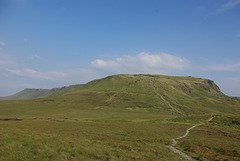 IMGP4731