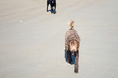 afternoon at the beach