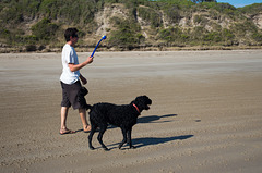 afternoon at the beach