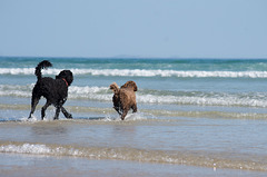 afternoon at the beach