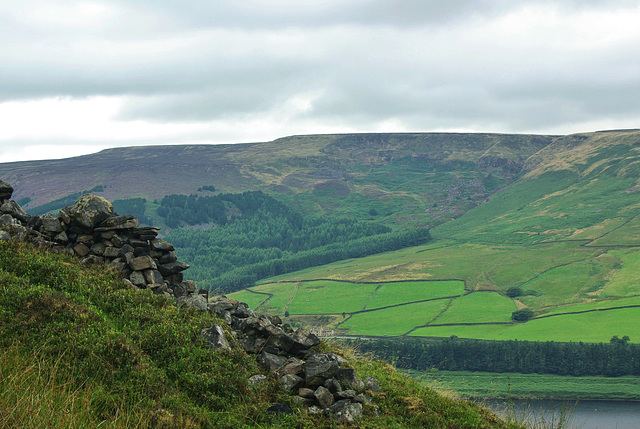 Towards Lad's Leap