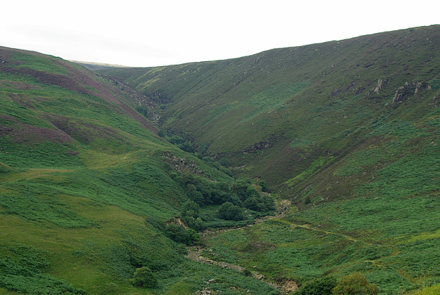 Torside Clough