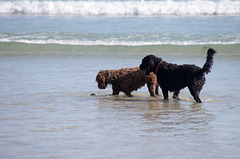 afternoon at the beach