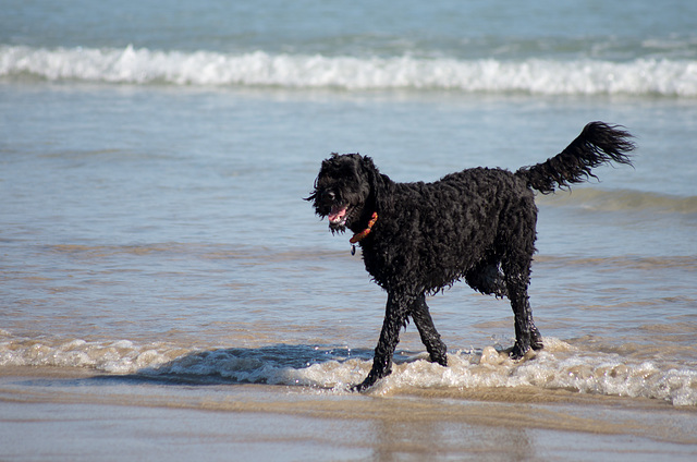 afternoon at the beach