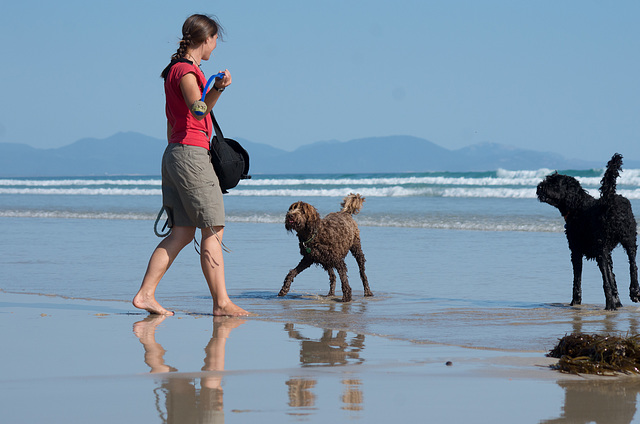 afternoon at the beach