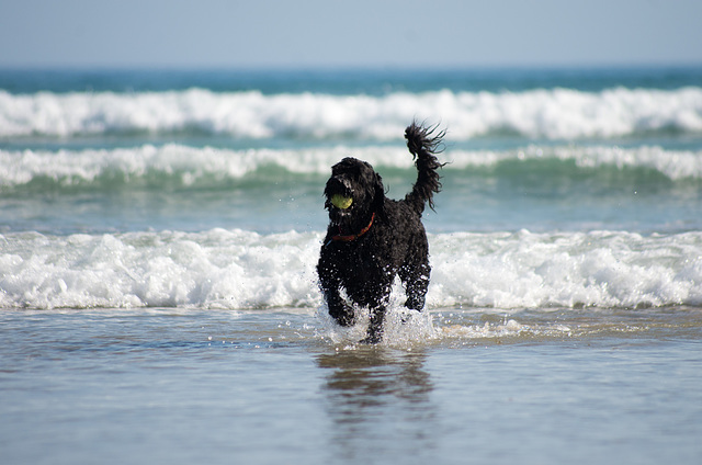 afternoon at the beach