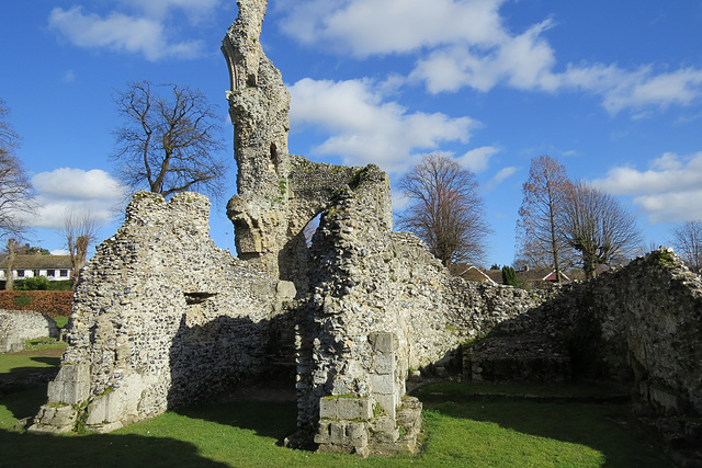 thetford priory (12)