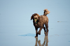 afternoon at the beach