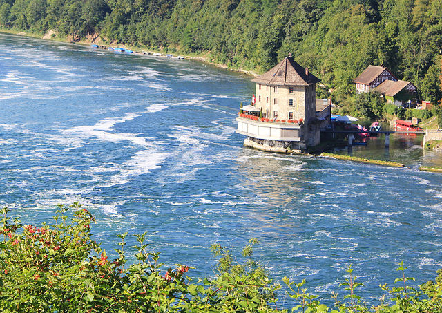 Der Rhein