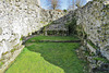 thetford priory (13)