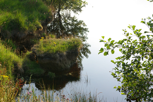 Torside Reservoir Views and wildlife