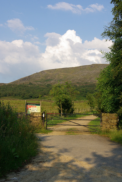 Torside Reservoir Views and wildlife