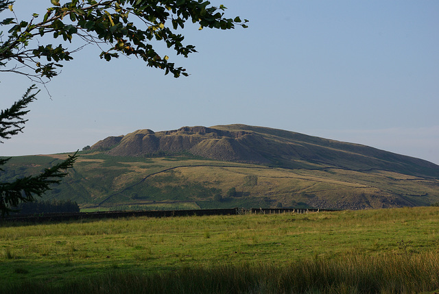 Torside Reservoir Views and wildlife