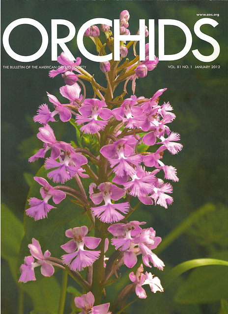 ORCHIDS Magazine cover