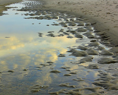 Tide pool