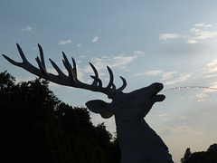 Der wasserspeiende Hirsch