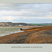 Seaford's King Canute 16 11 10