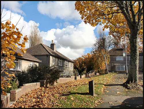 autumn in Hawkinge