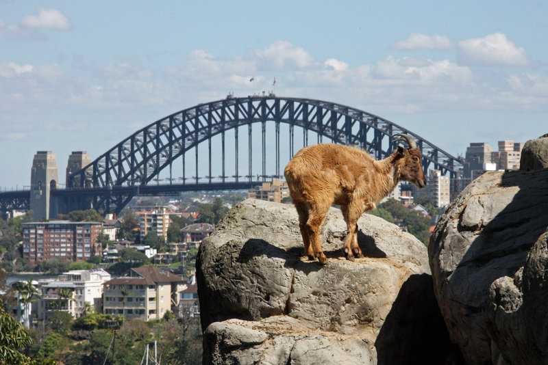 View from the zoo