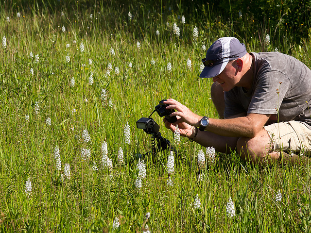 Gymnadeniopsis (Platanthera) nivea - Snowy orchid -- Alan Cressler in the foreground
