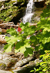 Bijoux Falls