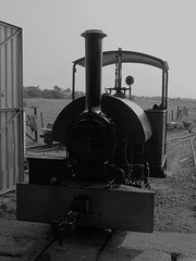 Wendy at Hayling Seaside Railway (2) - 26 August 2013