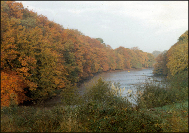 Budshead Creek