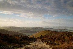 Stiperstones path