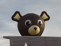 DSCF1681 Nounours se montre !