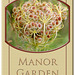 Wild Carrot seed head - on bevelled background - Manor Garden - Bishopstone - 13.9.2010