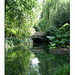 Peckham Rye Park bridge - 7.8.2007