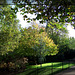Autumn sun - Peckham Rye Park  - 4.11.05