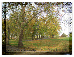 Straker's Path, Peckham Rye - 12.11.2005