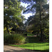 Japanese Garden - Peckham Rye Park