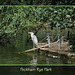 Heron Peckham Rye Park 14 8 08