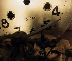 15 day