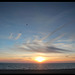 Seagull sunset - 12.12.2012