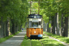 Naumburg 2013 – Tram 38 approaching Theaterplatz