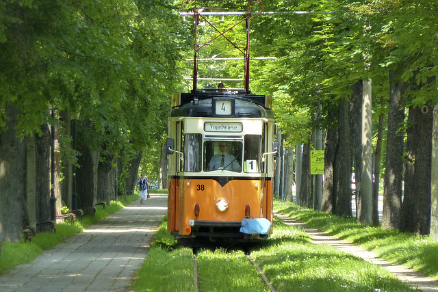 Naumburg 2013 – Tram 38 approaching Theaterplatz