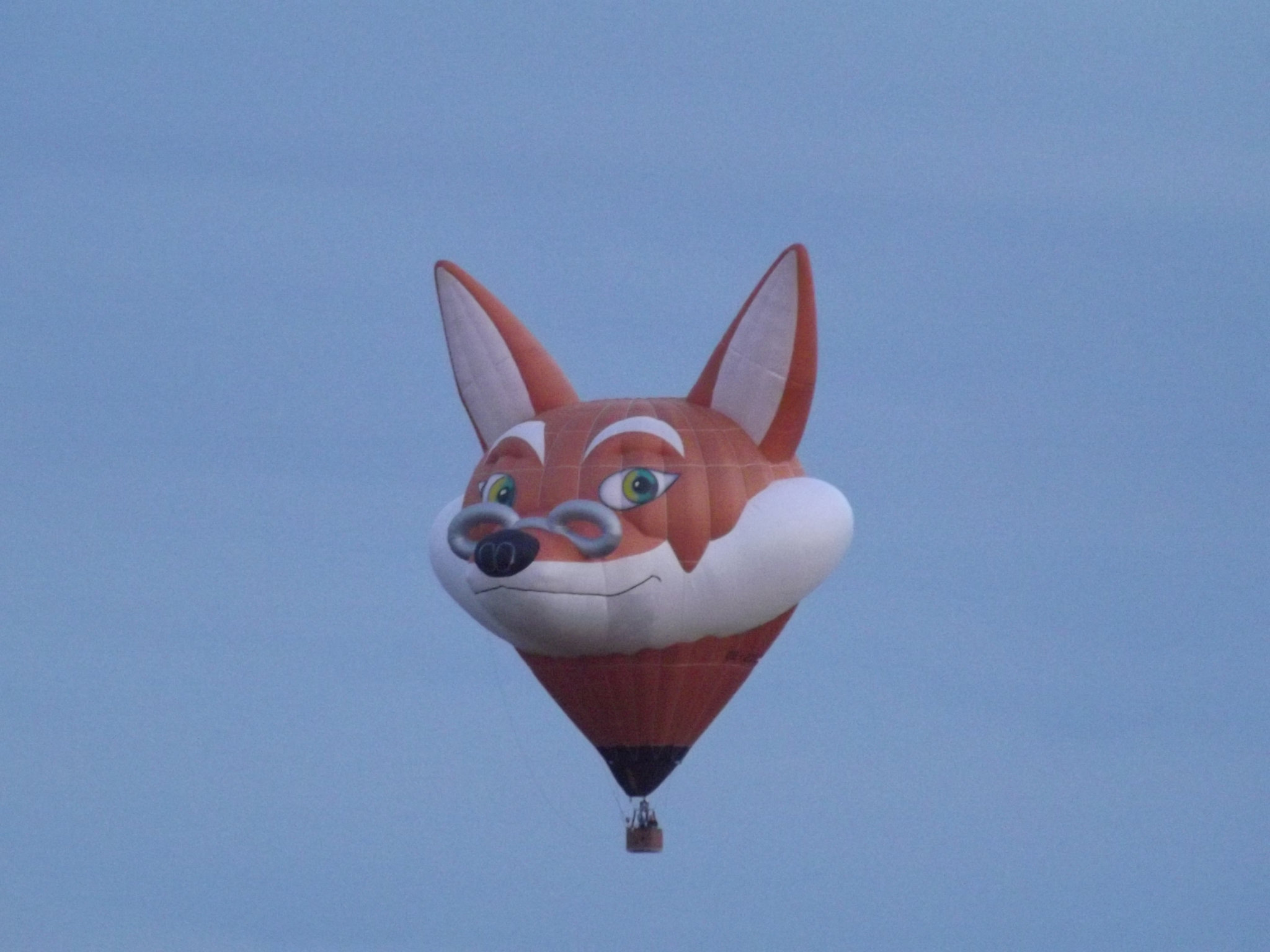 DSCF1767 Renard
