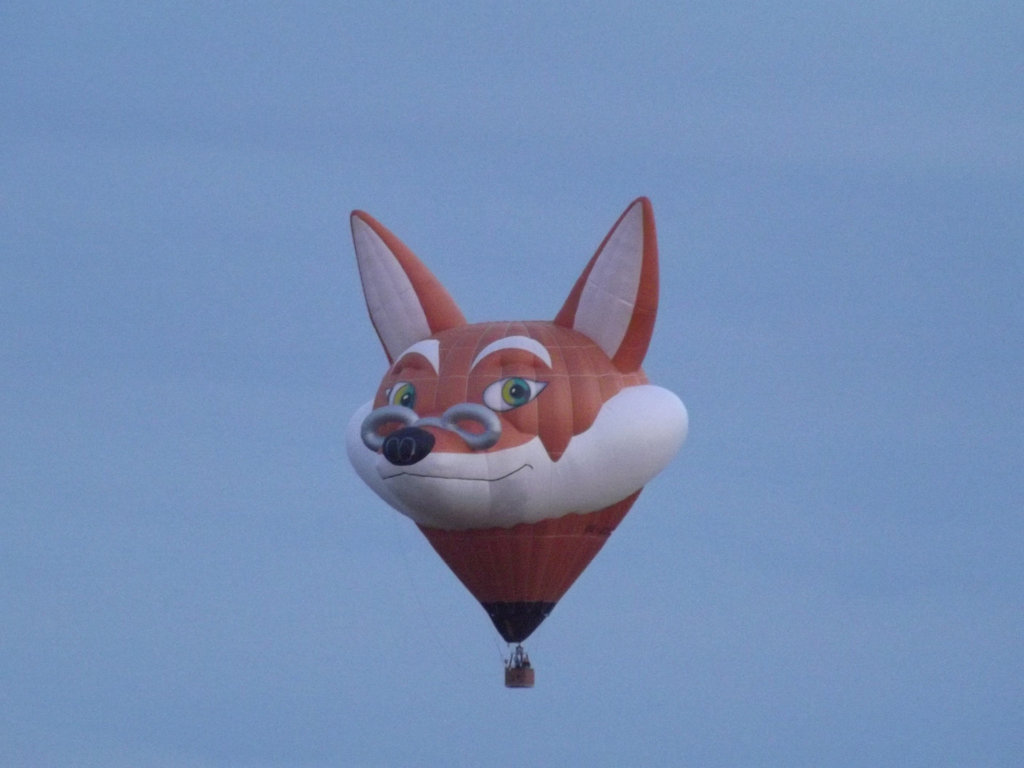 DSCF1767 Renard