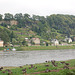 Pirna, Elbo, Grizaj anseroj (Pirna, Elbe und Graugänse)