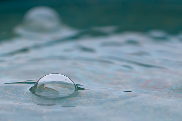 Bird Bath Water Bubble