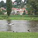 Pirna, Elbo