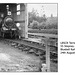 LBSCR Terrier 0-6-0T 55 at Bluebell Railway on 24.8.1963