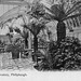 The Conservatory, Philiphaugh, Borders (Demolished)