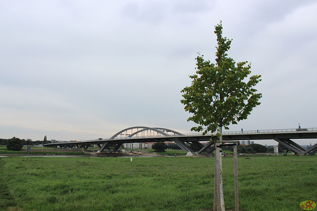 2013-08-23 11 Waldschlösschenbrücke