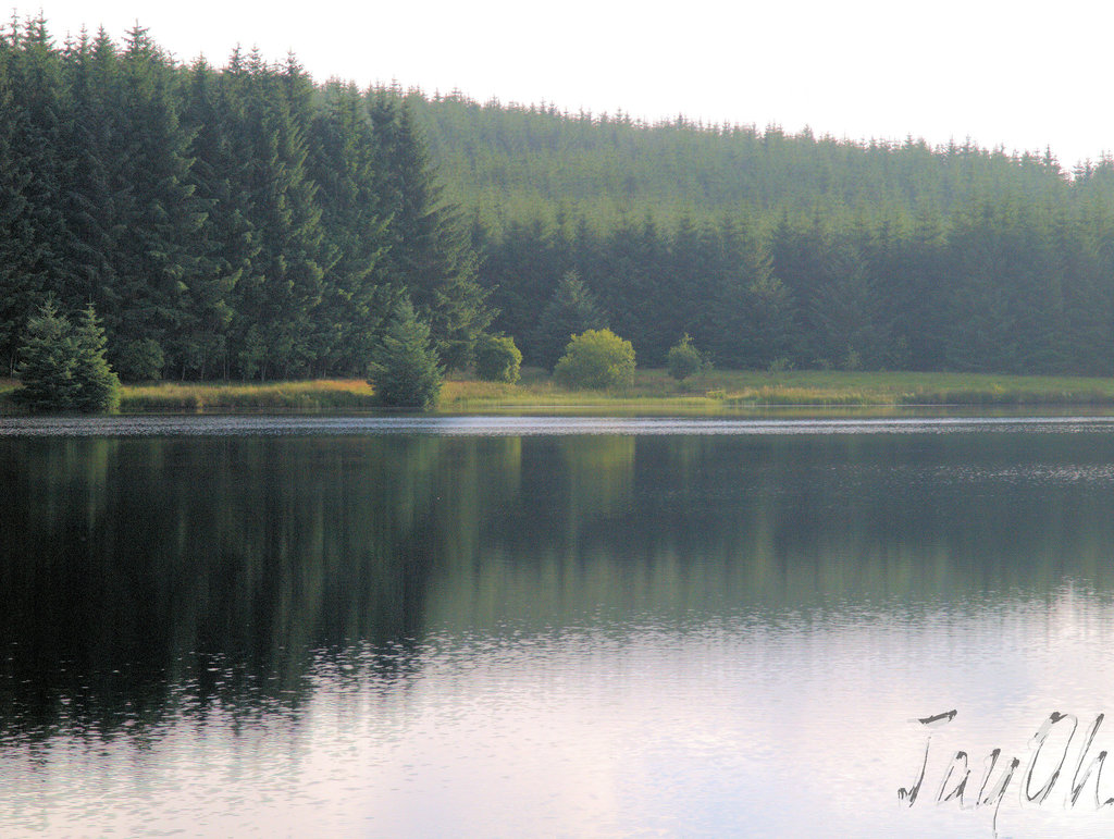 Loch Ettrick