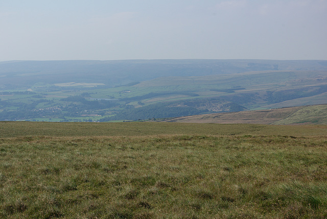 IMGP4736